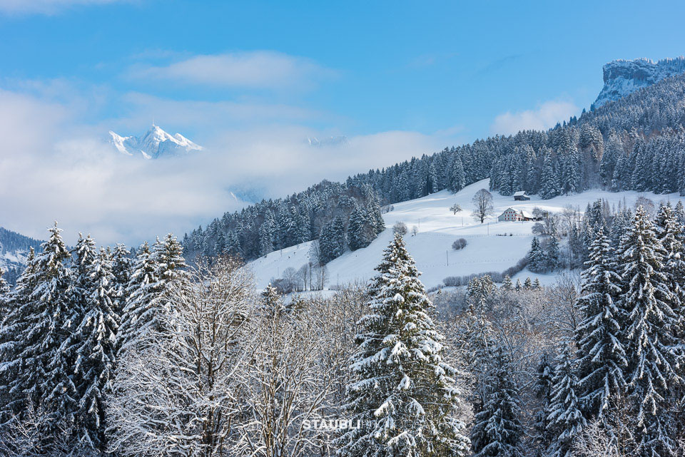 verschneites Toggenburg