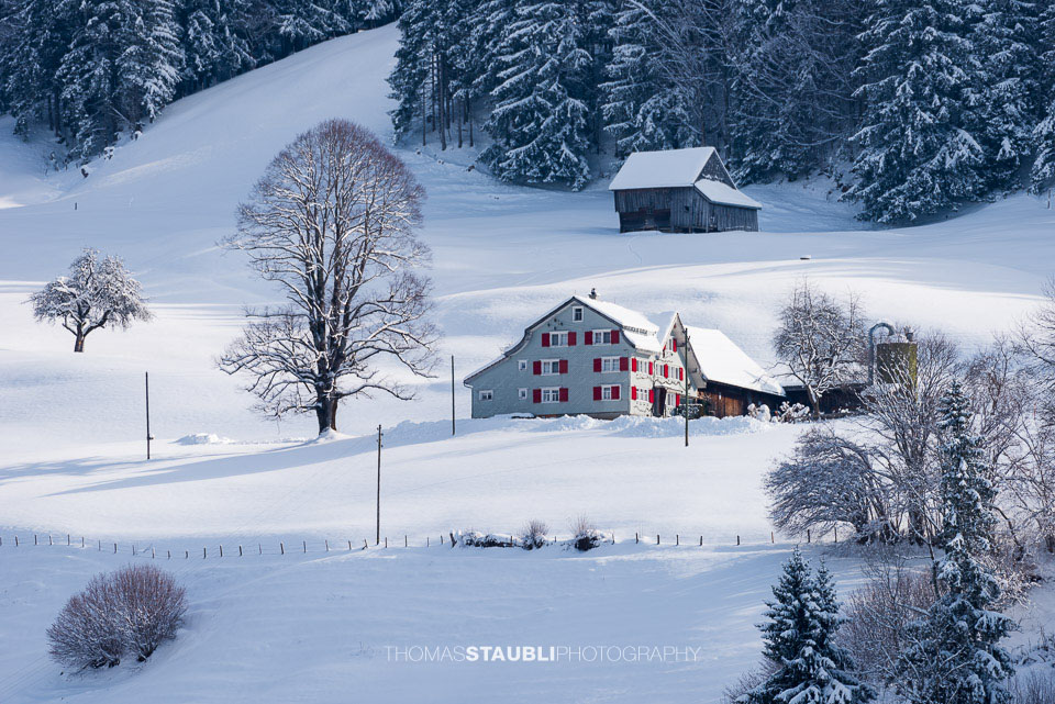 Winterimpressionen aus dem Toggenburg