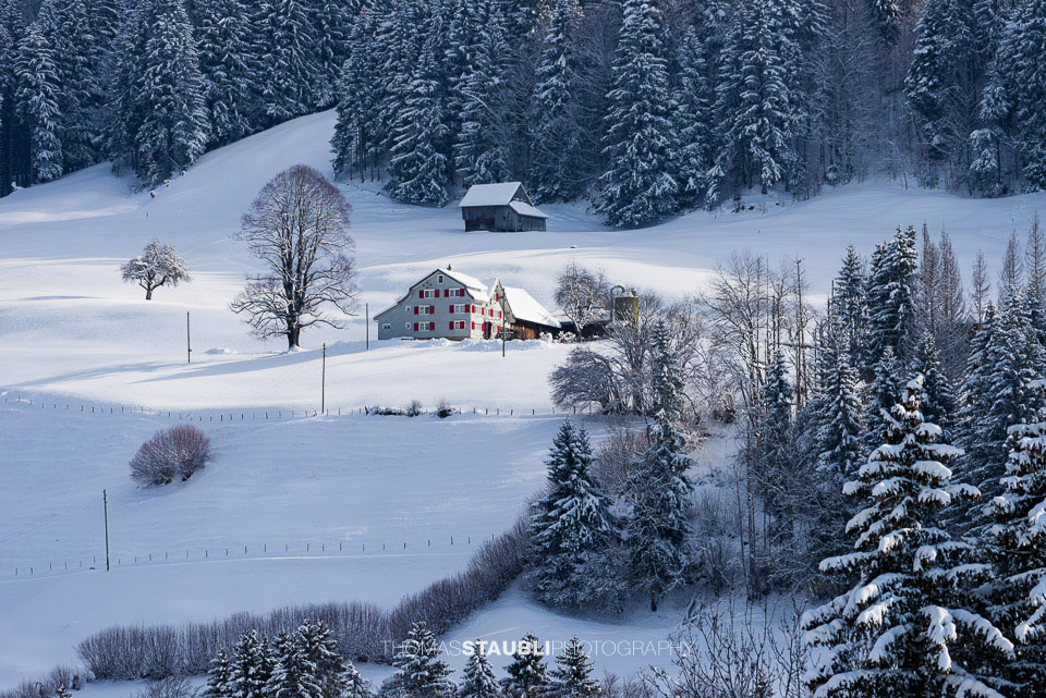 Winterimpressionen aus dem Toggenburg