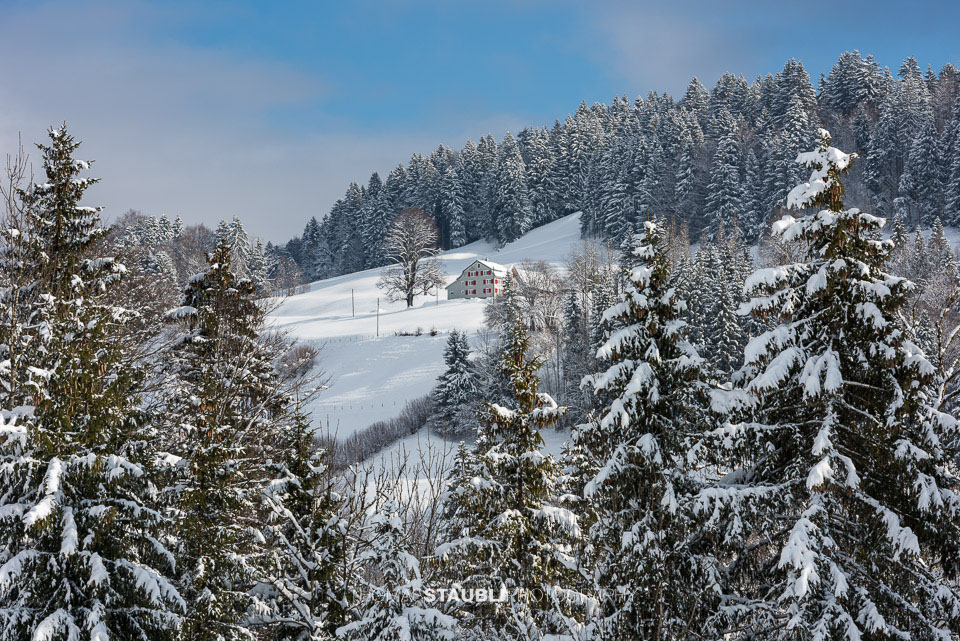Winterimpressionen aus dem Toggenburg