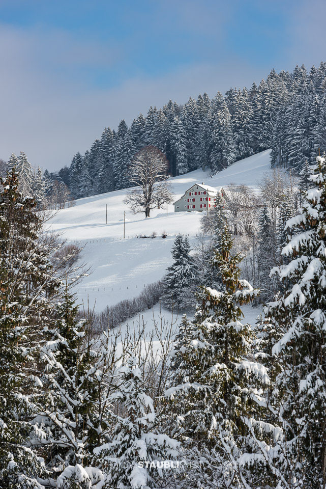 Winterimpressionen aus dem Toggenburg