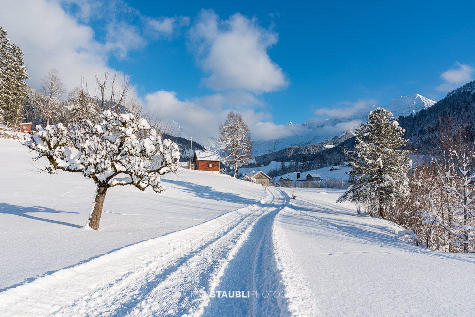 Winterwonderland im Toggenburg
