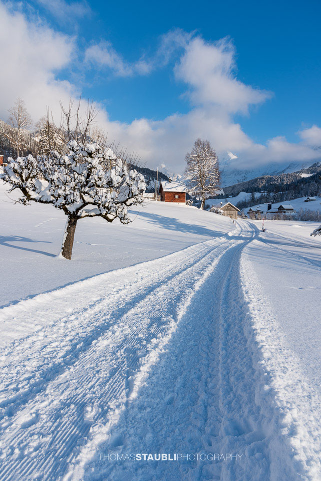 Winterwonderland im Toggenburg