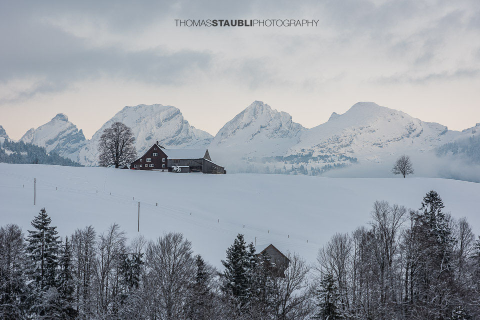 Abendstimmung über den Churfirsten