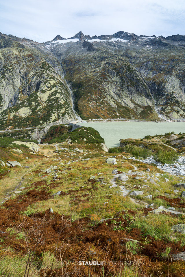 Blick vom Bächlisblatti Richtung Räterichsbodensee