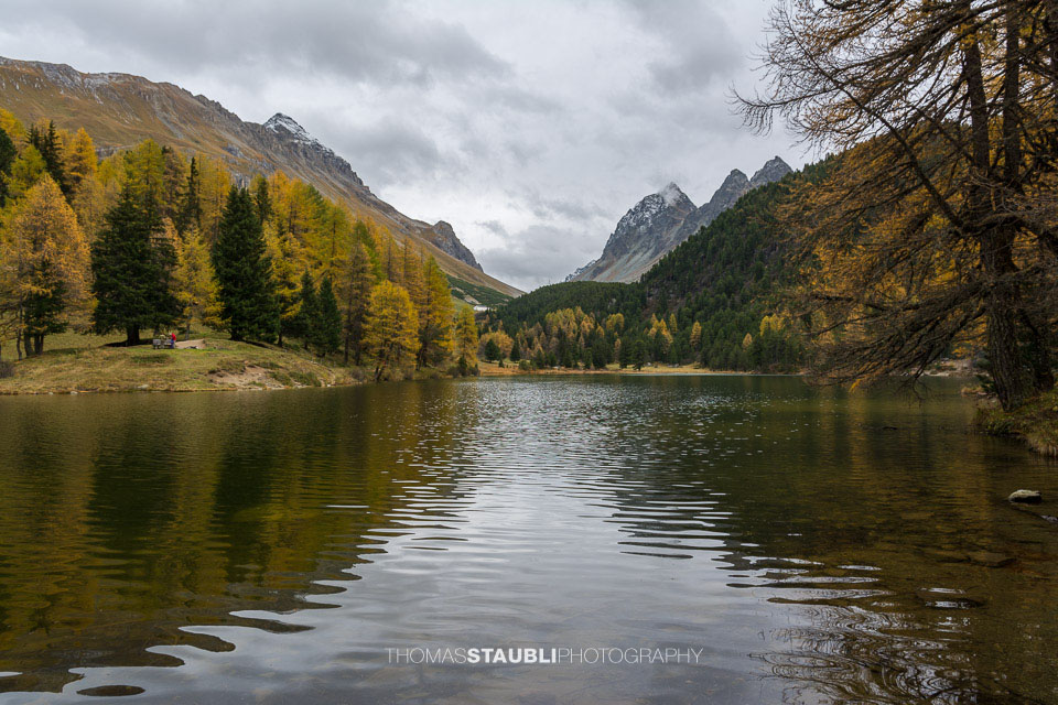 Herbstimpressionen am Palpuognasee