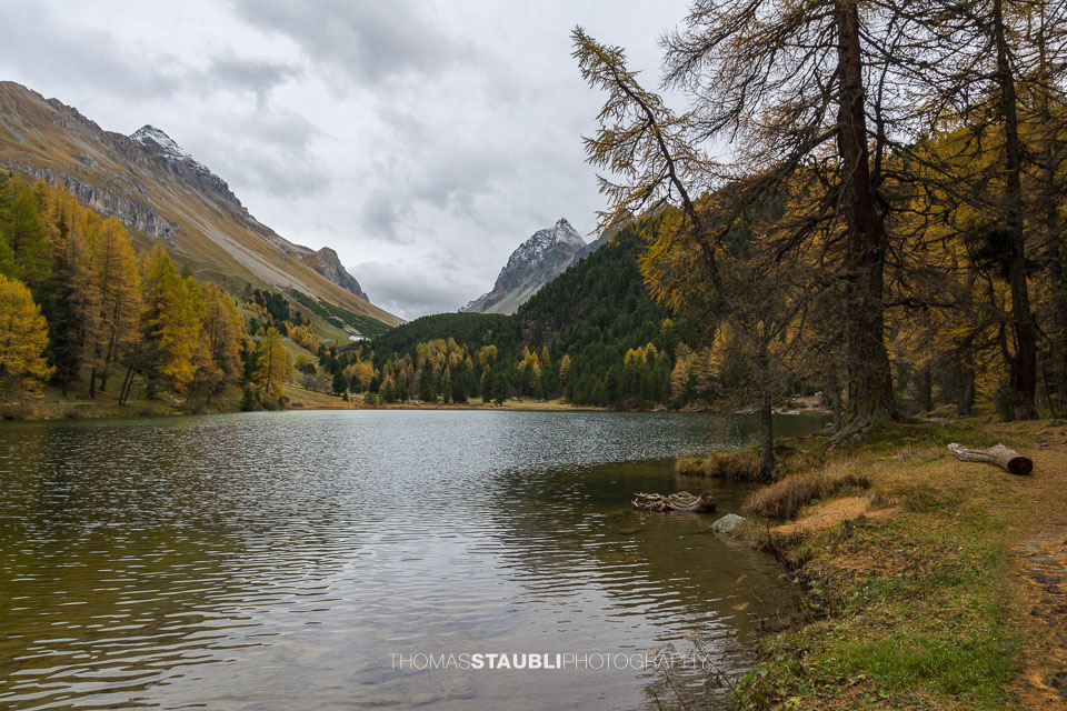 Herbstimpressionen am Palpuognasee