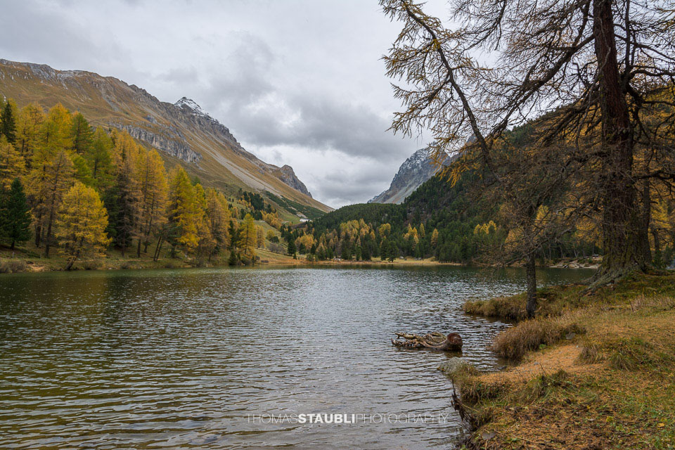 Herbstimpressionen am Palpuognasee