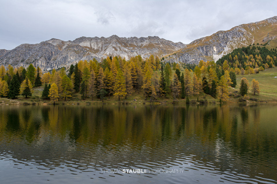 Herbstimpressionen am Palpuognasee