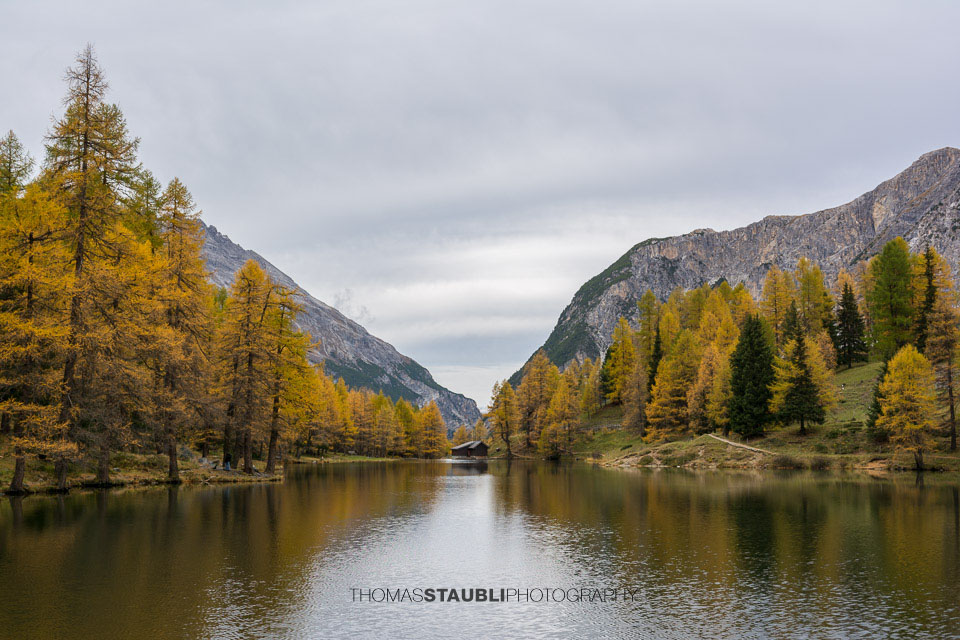Herbstimpressionen am Palpuognasee