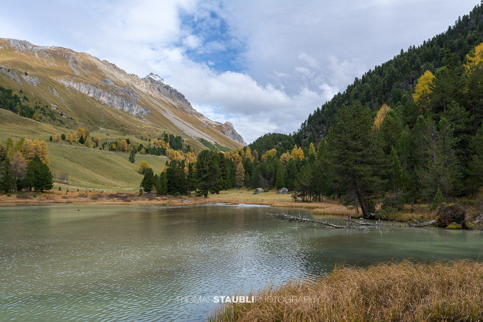 Herbstimpressionen am Palpuognasee