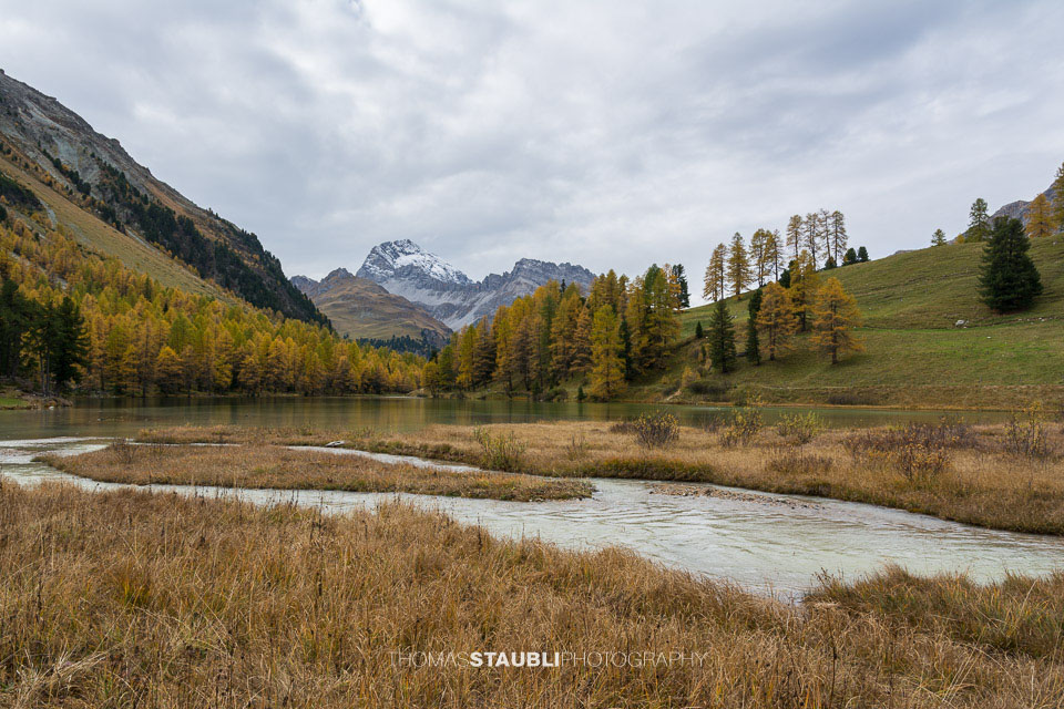 Herbstimpressionen am Palpuognasee