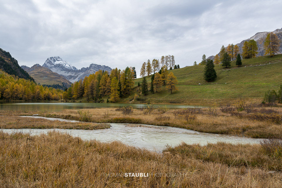 Herbstimpressionen am Palpuognasee