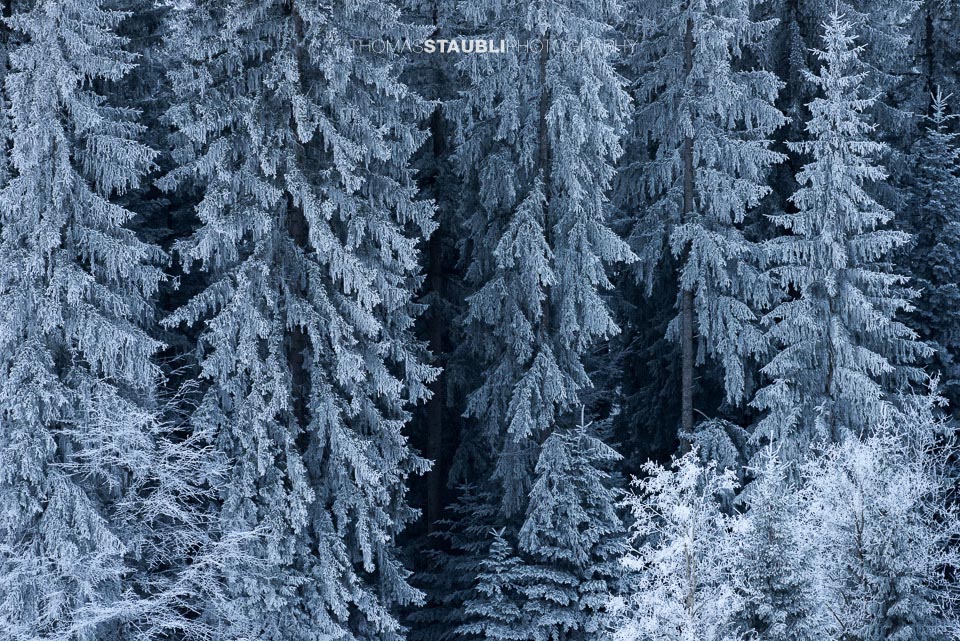 Winterimpressionen auf dem Raten