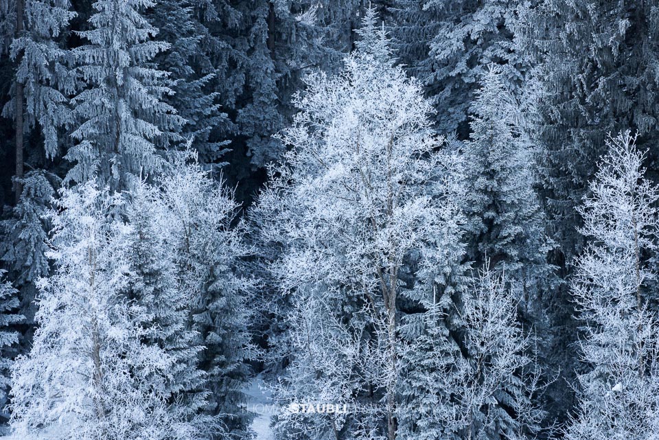 Winterimpressionen auf dem Raten