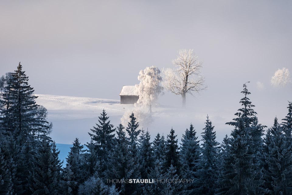 Winterimpressionen auf dem Raten
