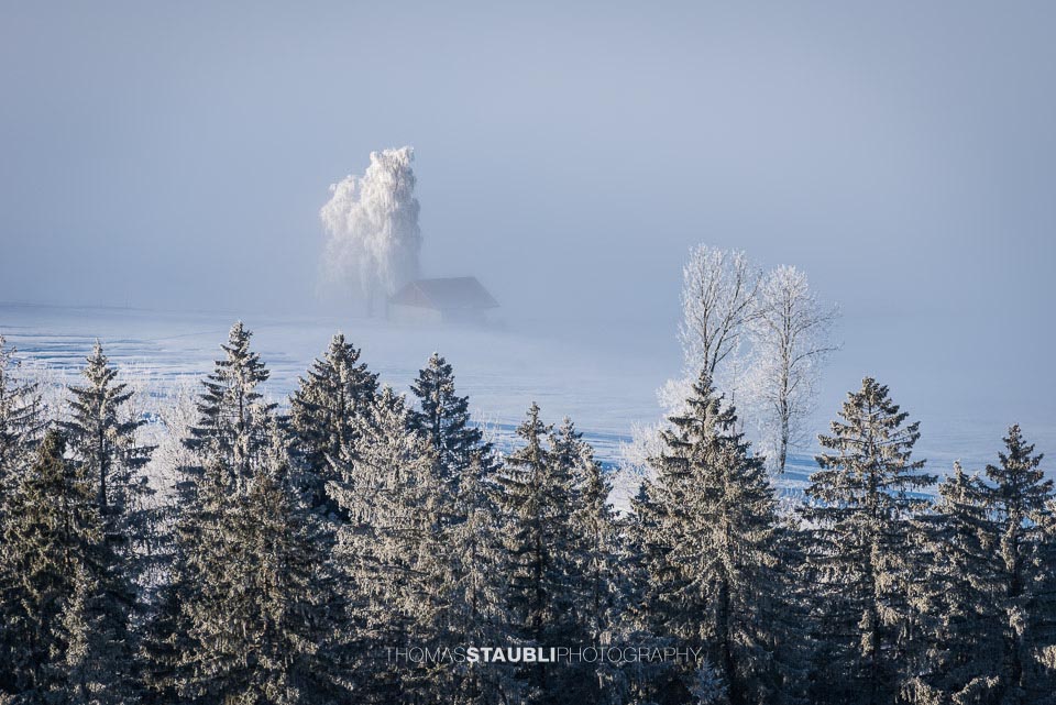 Winterimpressionen auf dem Raten