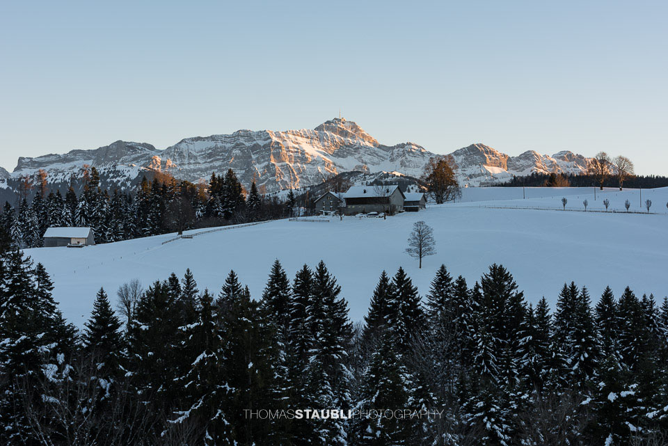 Abenddämmerung über dem Säntis und dem Alpsteinmassiv