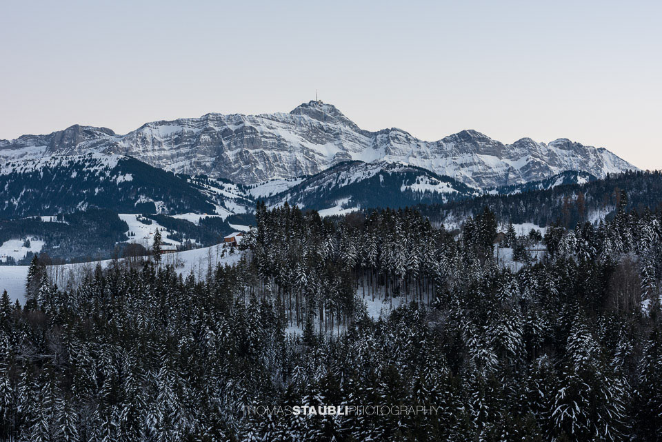 Abenddämmerung über dem Säntis