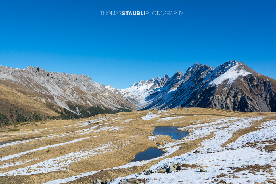 Bergpanorama vom Cuolm da Latsch