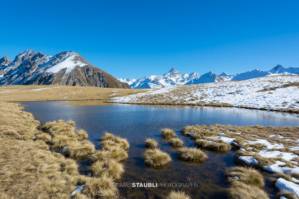Seelein auf dem Cuolm da Latsch