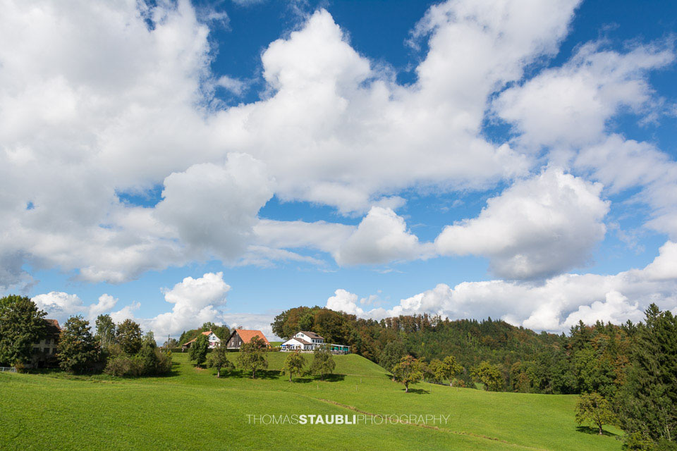 Restaurant Buchenegg