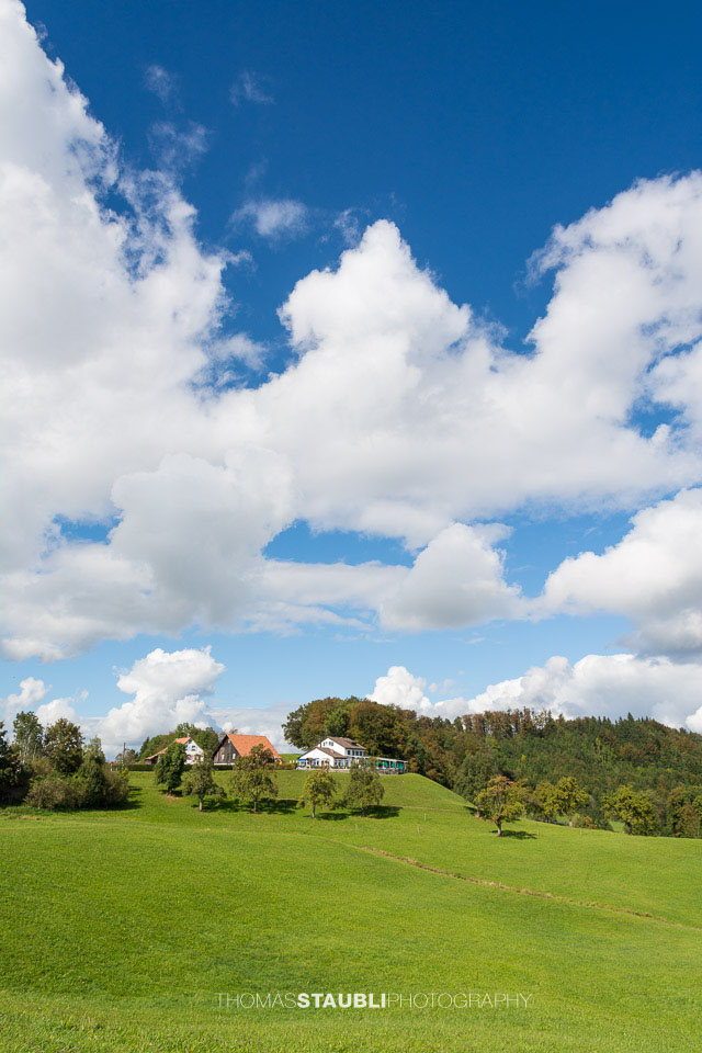 Restaurant Buchenegg