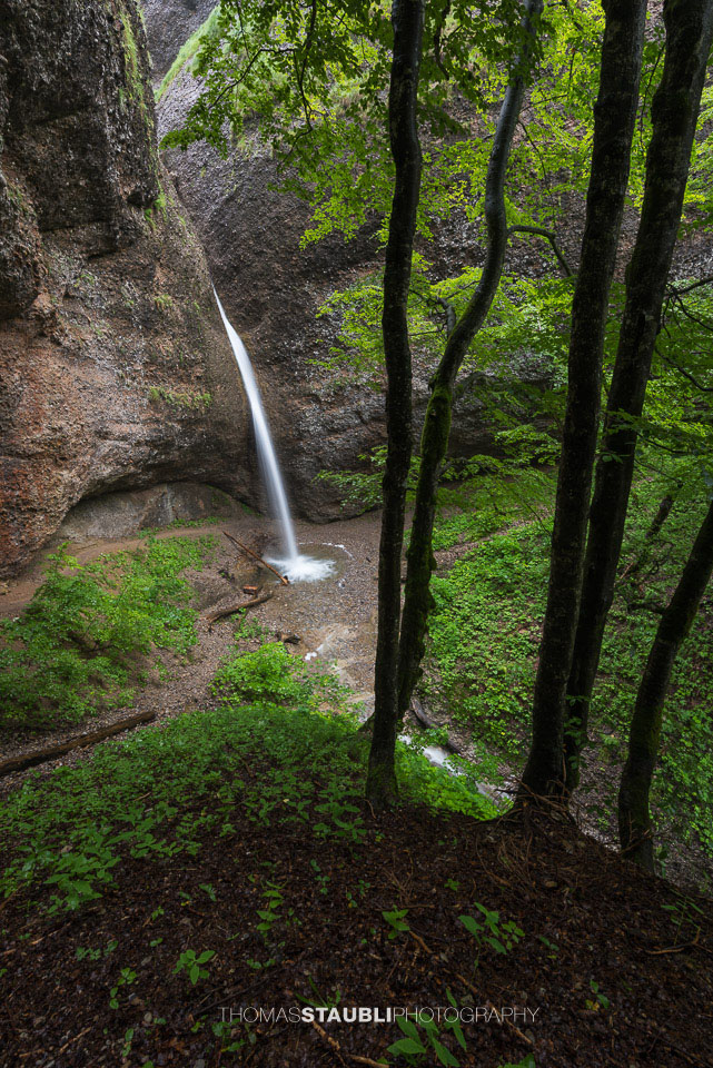 Ein schmaler Wasserfall fällt in einen grünen, bewaldeten Felsenkessel im Ofenloch. Die senkrechten Felswände und der umgebende Laubwald erzeugen eine abgeschiedene, ruhige Atmosphäre.