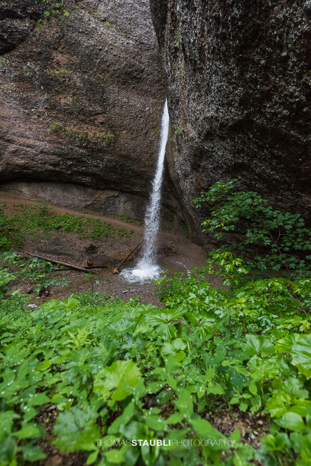 Der Wasserfall des Ofenlochs stürzt steil zwischen zwei Felswänden hinab, umgeben von sattem Grün und üppiger Bodenvegetation im Vordergrund.