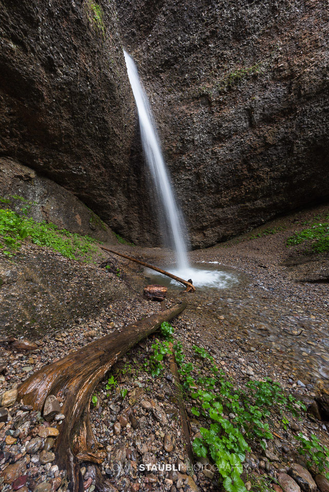 Ein senkrecht fallender Wasserstrahl trifft auf einen kleinen, klaren Gumpen, umgeben von Felsen, Treibholz und sattgrünem Pflanzenbewuchs in der Necker-Schlucht.
