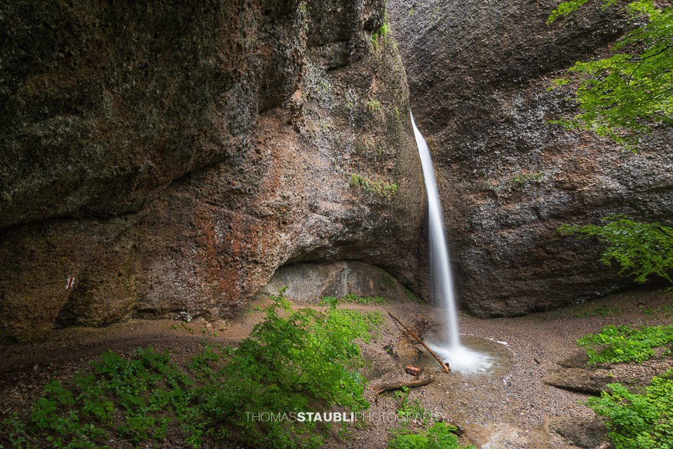 Ein senkrecht fallender Wasserstrahl trifft auf einen kleinen, klaren Gumpen, umgeben von Felsen, Treibholz und sattgrünem Pflanzenbewuchs in der Necker-Schlucht.