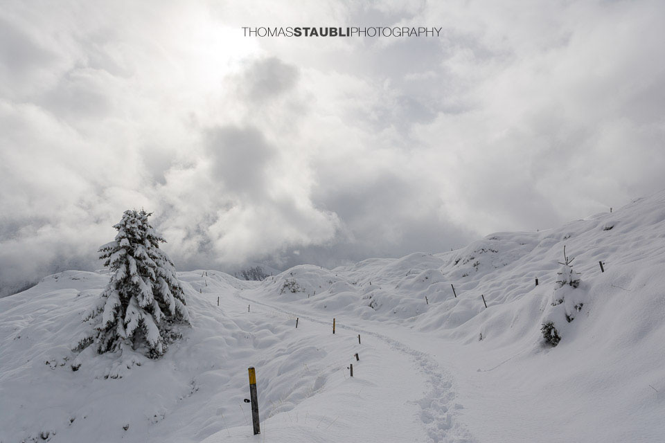 Winterimpressionen am Heinzenberg