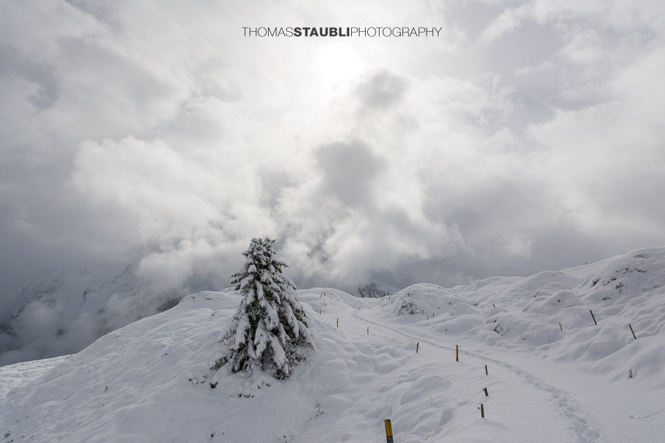 Winterimpressionen am Heinzenberg