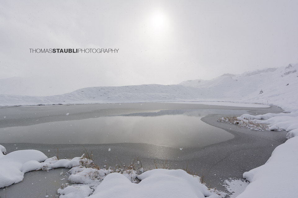 Winterimpressionen am Pascuminersee