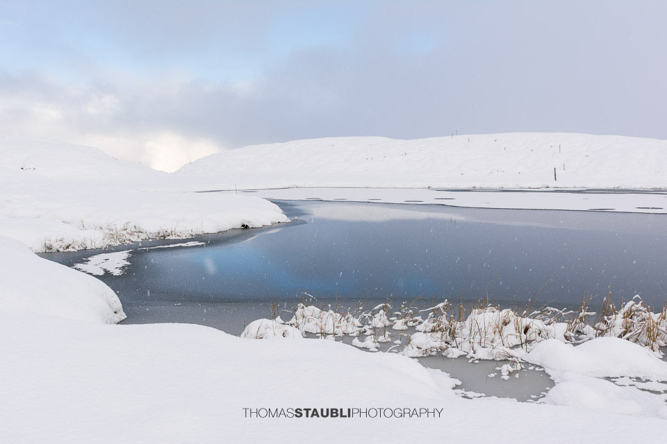 Winterimpressionen am Pascuminersee