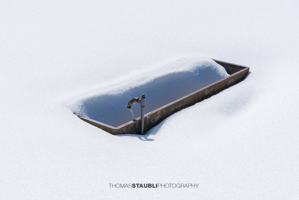 verschneite Kuhtränke