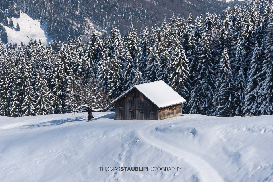 Stall im verschneiten Appenzellerland