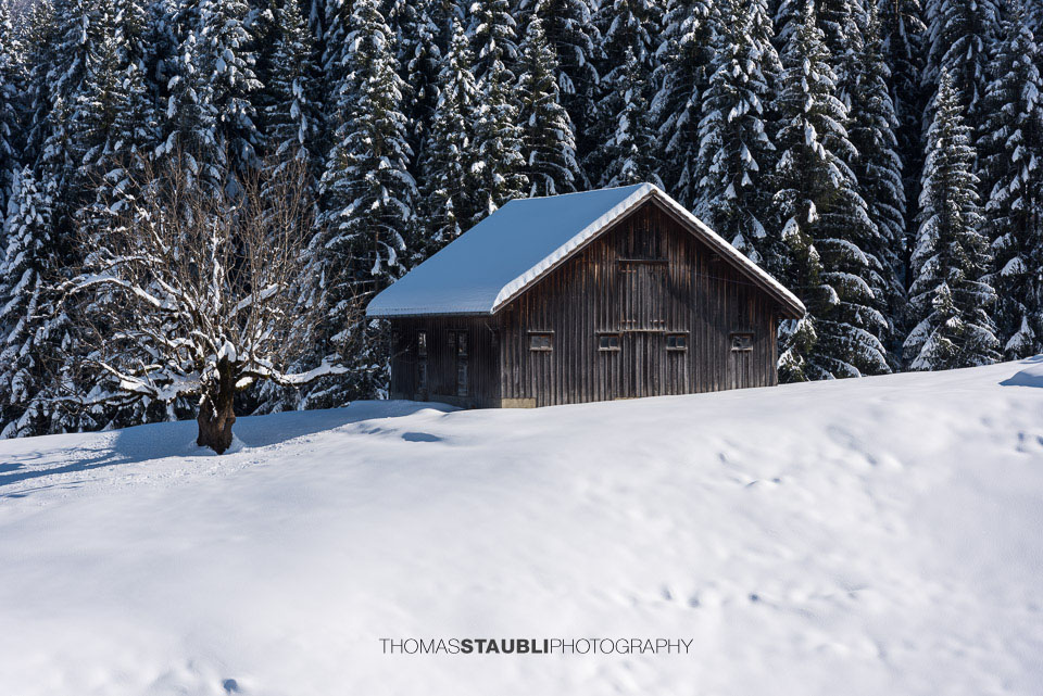 Stall im verschneiten Appenzellerland