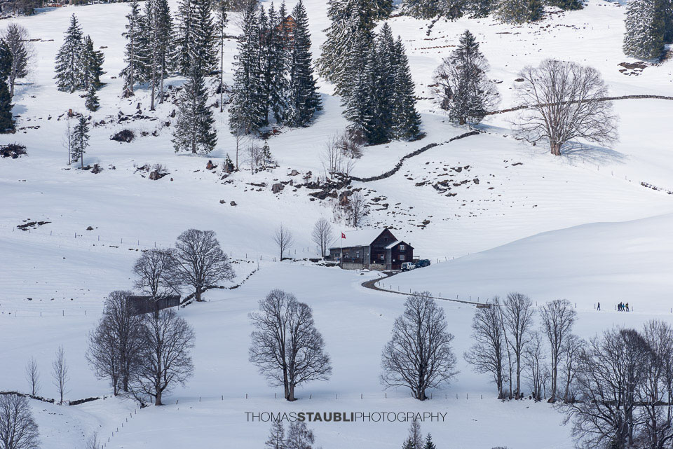 Bauernhöfe im verschneiten Toggenburg