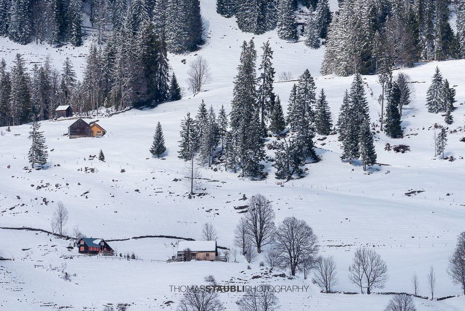 Bauernhöfe im verschneiten Toggenburg