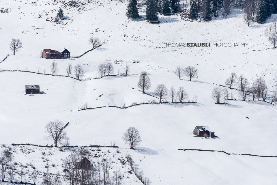 Bauernhöfe im verschneiten Toggenburg