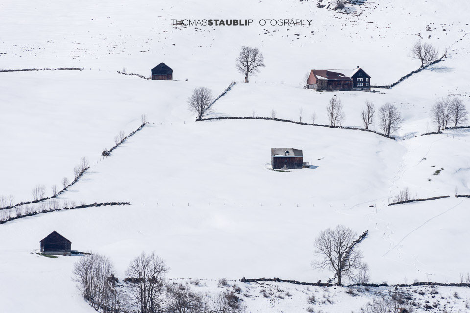 Bauernhöfe im verschneiten Toggenburg