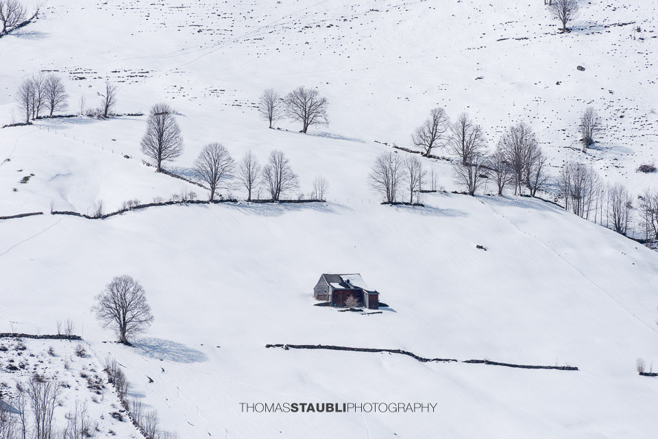 Bauernhöfe im verschneiten Toggenburg