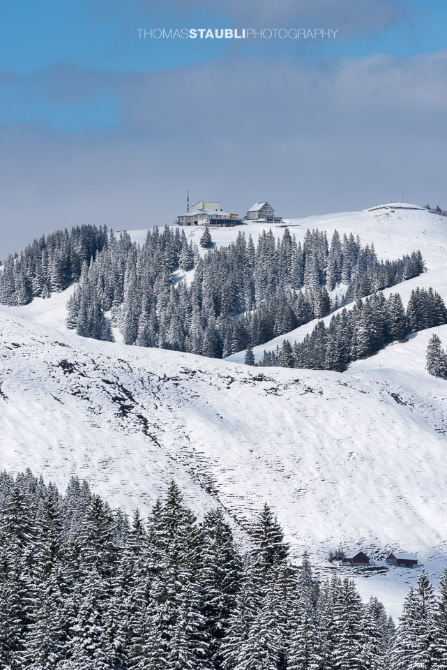 Blick zum verschneiten Kronberg
