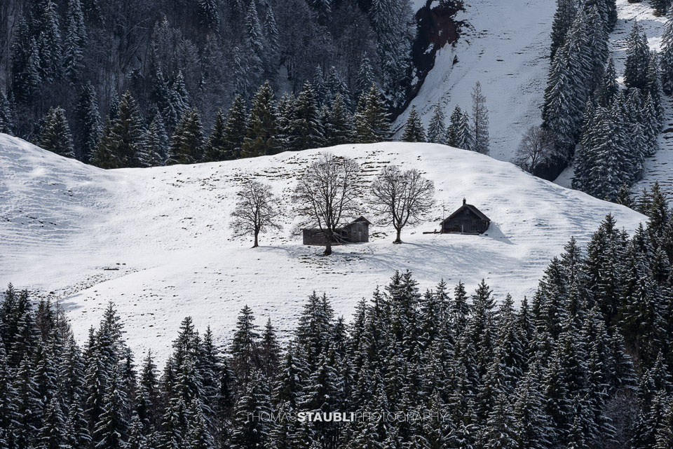 Blick zum verschneiten Glücksberg