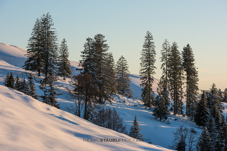 Abenddämmerung über der Hochalp