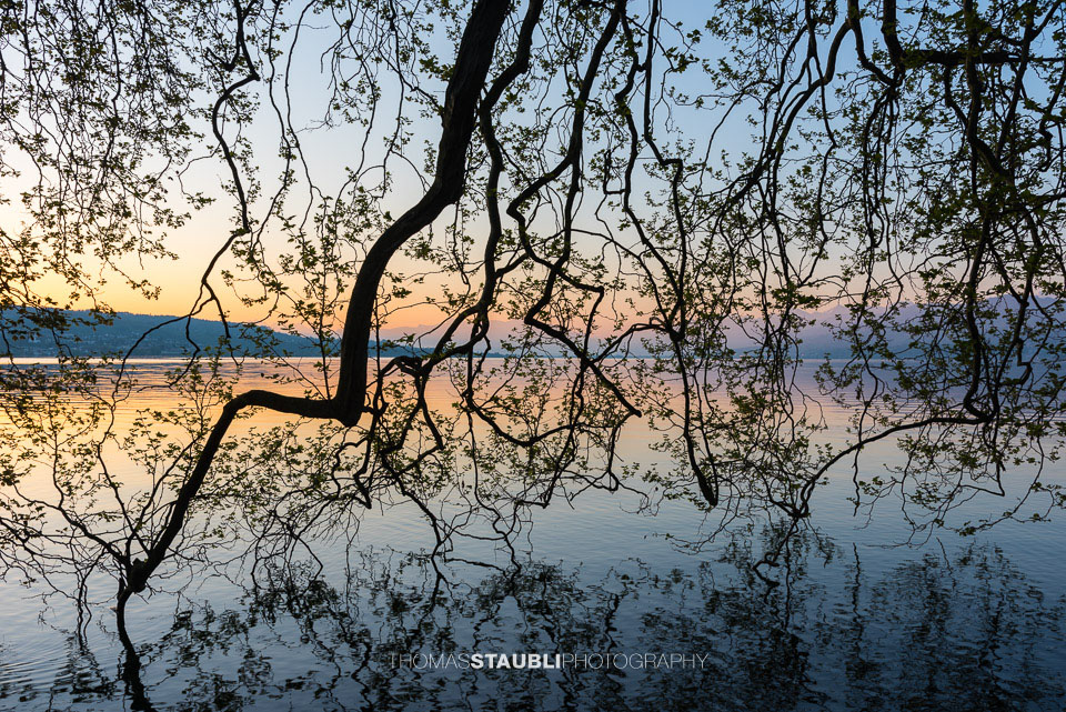 Morgendämmerung über dem Zürichsee