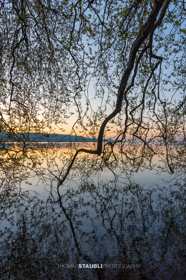 Morgendämmerung über dem Zürichsee