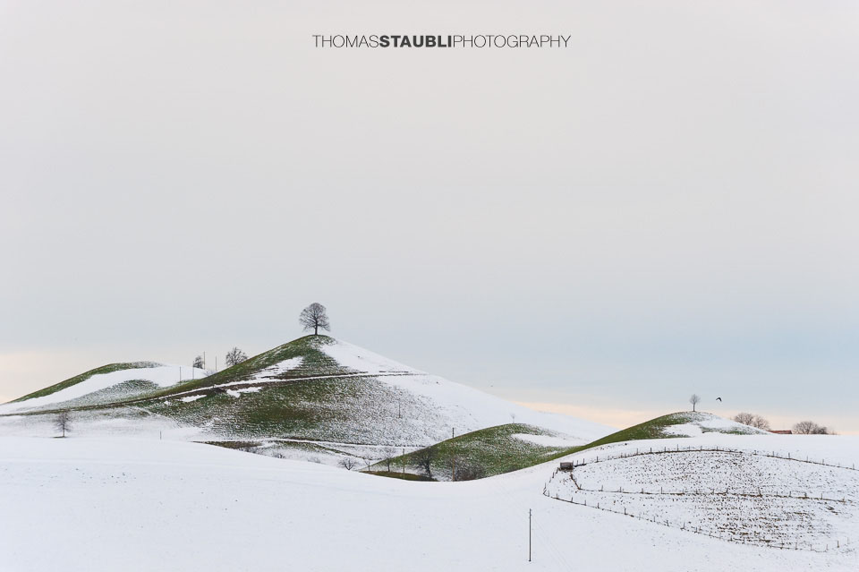 verschneite Hügel von Menzingen