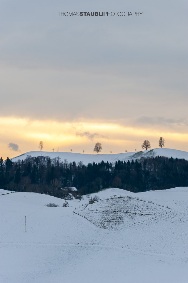Abendstimmung über den verschneiten Hügeln von Menzingen